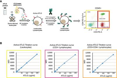 Pre-transplant CD69+ extracellular vesicles are negatively correlated with active ATLG serum levels and associate with the onset of GVHD in allogeneic HSCT patients